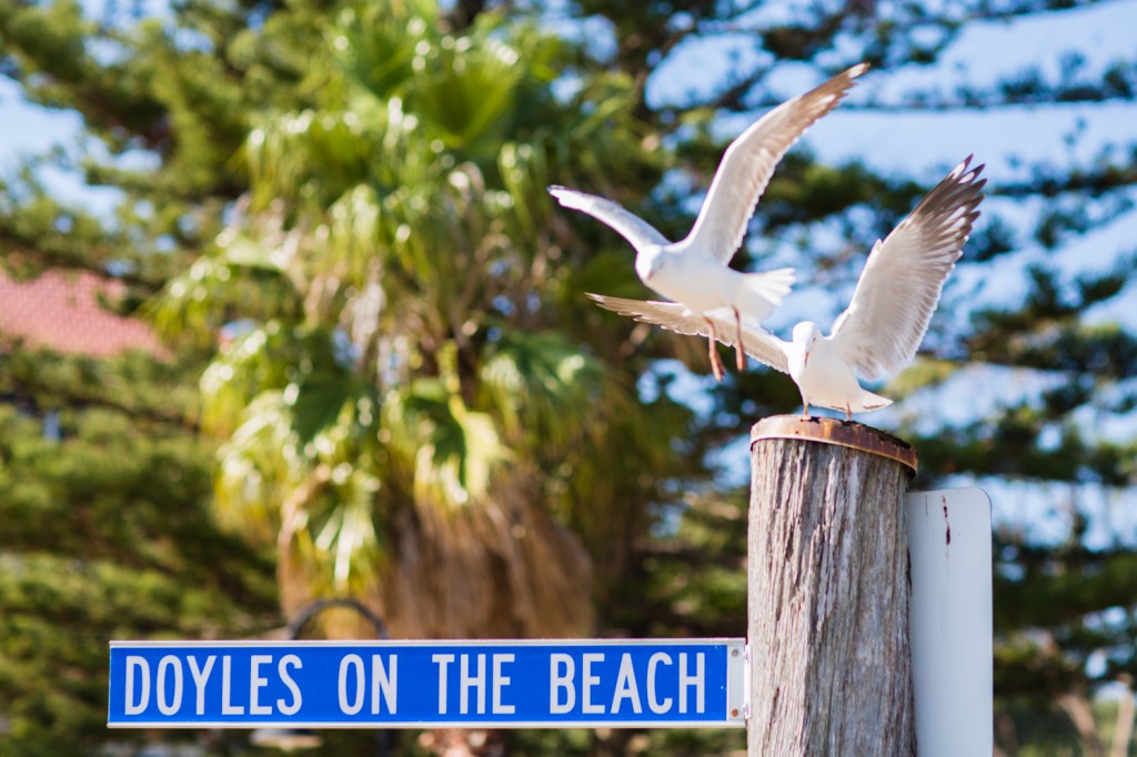 7. mv_sc_wentworth-8059