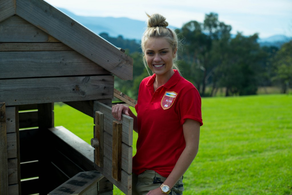 Cubbyhouse Challenge-11